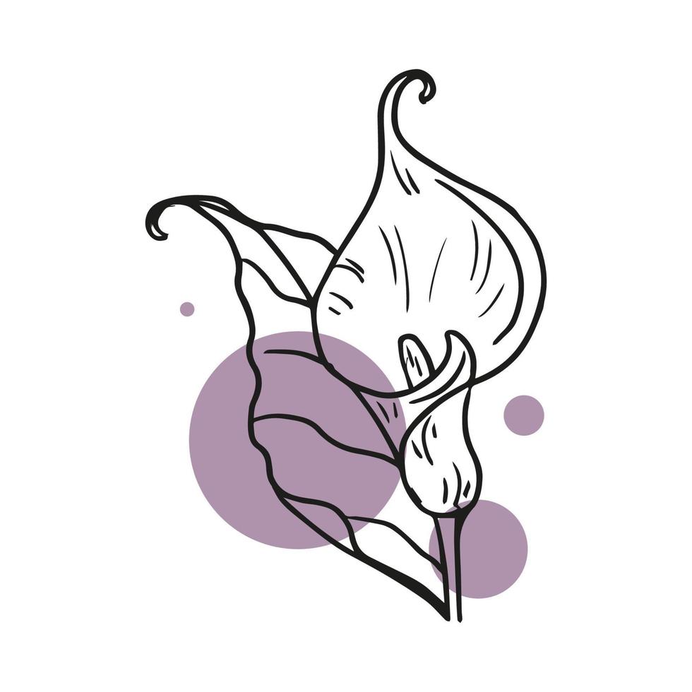 Sketch Floral Botany spring and summer flower. Magnolia flower drawings. Black and white with line art. Hand Drawn Botanical Illustrations. Vector. Valentines day with love. vector