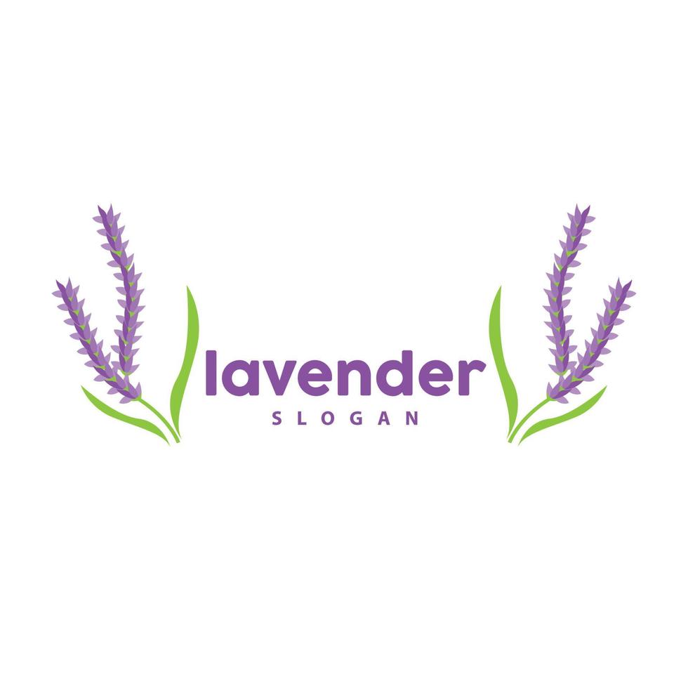 Lavender Logo, Simple Elegant Purple Flower Plant Vector, Greeting Card Design, Banner, Flower Ornament, Lavender Hand Drawn Wedding, Icon Symbol Illustration vector