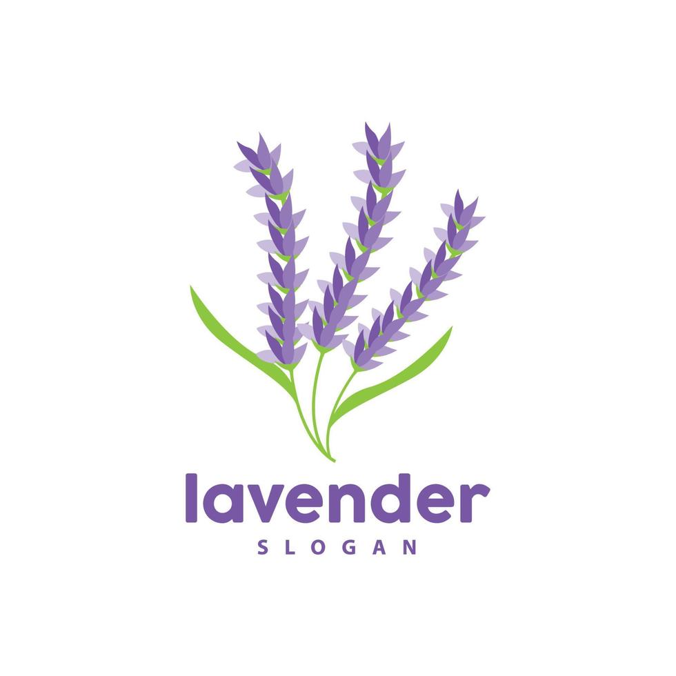 lavanda logo, sencillo elegante púrpura flor planta vector, saludo tarjeta diseño, bandera, flor ornamento, lavanda mano dibujado boda, icono símbolo ilustración vector