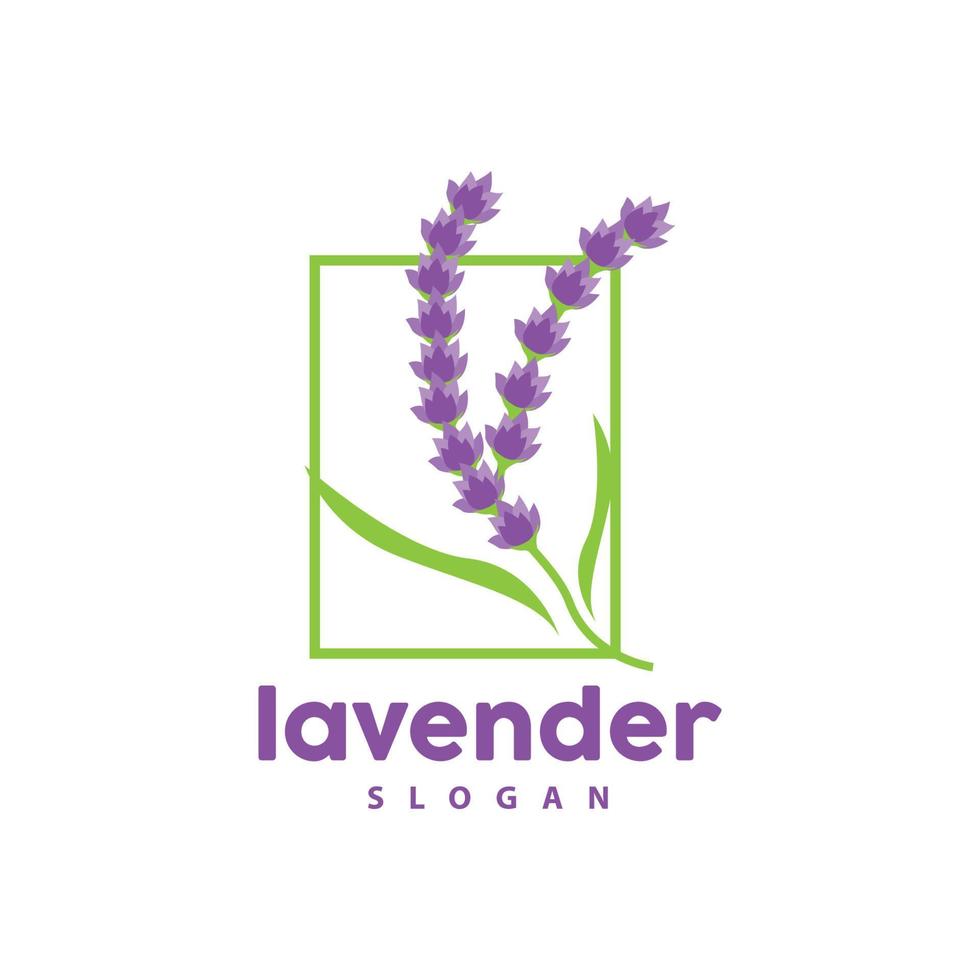 Lavender Logo, Simple Elegant Purple Flower Plant Vector, Greeting Card Design, Banner, Flower Ornament, Lavender Hand Drawn Wedding, Icon Symbol Illustration vector