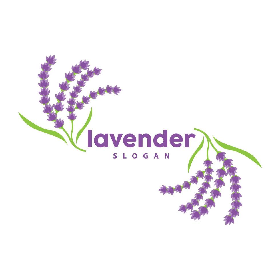 Lavender Logo, Simple Elegant Purple Flower Plant Vector, Greeting Card Design, Banner, Flower Ornament, Lavender Hand Drawn Wedding, Icon Symbol Illustration vector