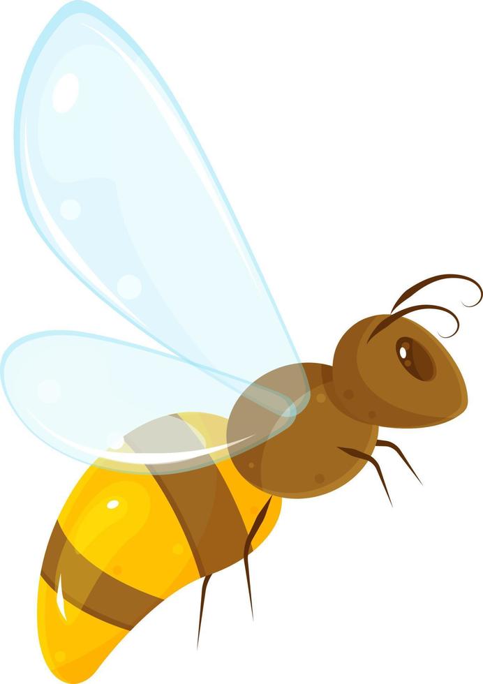 vector illustration of bee, cartoon insect, flying wasp, honey bee, side view