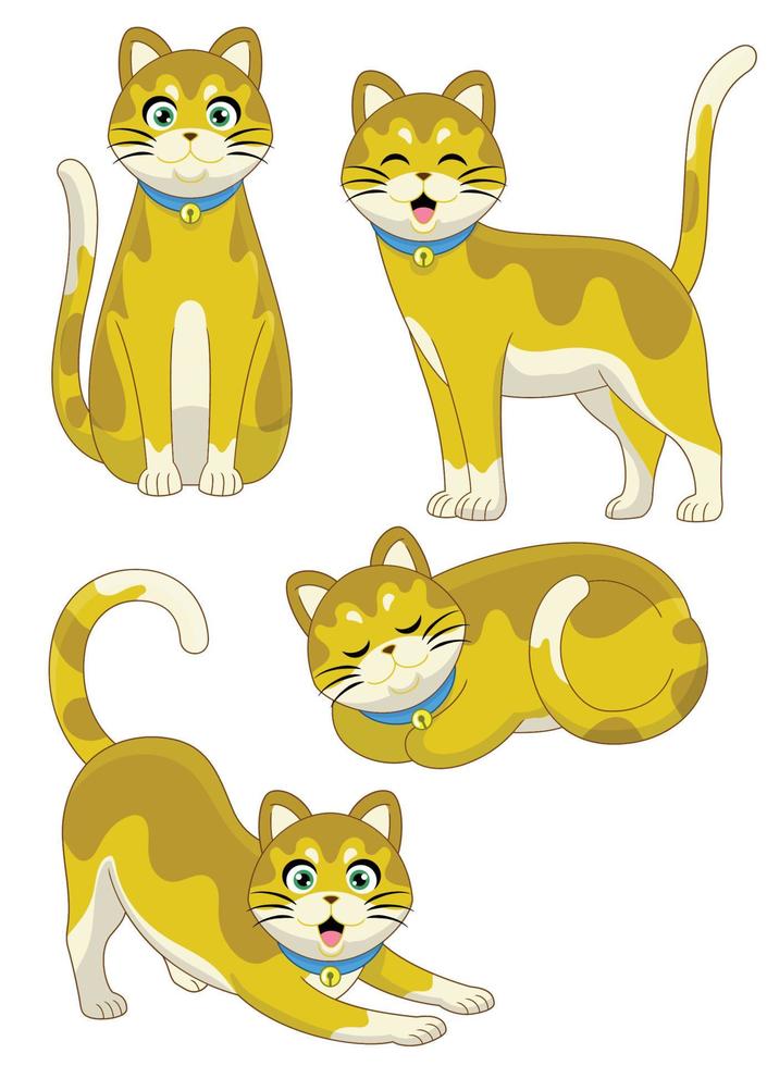 set cute cat character in various poses vector