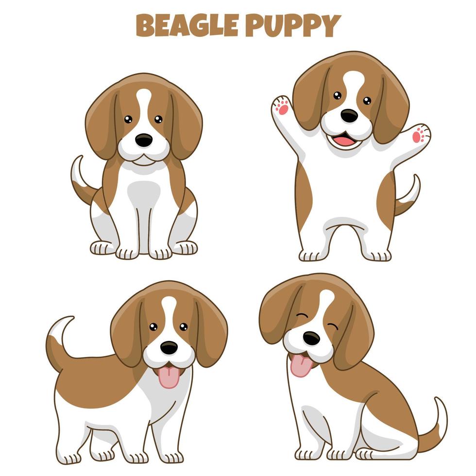 conjunto de beagle perro perrito en dibujos animados estilo vector