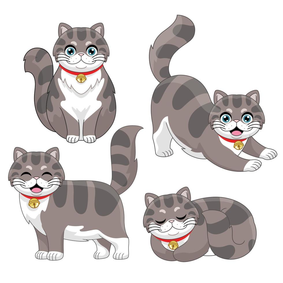 conjunto de linda largo peludo gato en varios poses vector