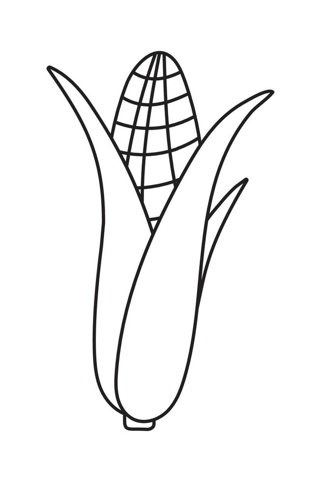 vegetable corn cob doodle flat illustration on white background. Vector graphics design