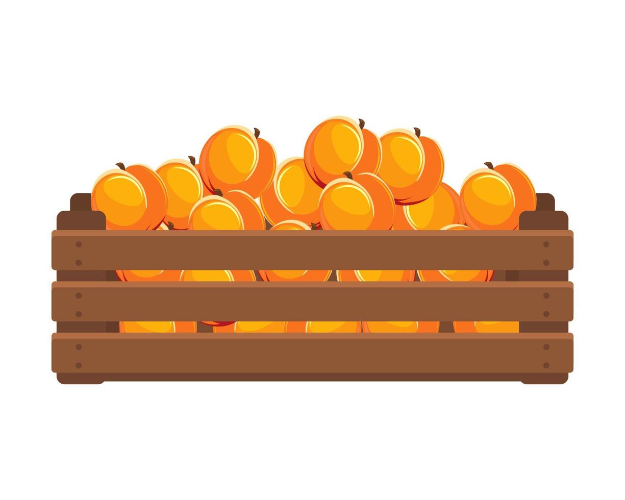 Wooden box with ripe peaches. Healthy food, fruits, agriculture illustration, vector