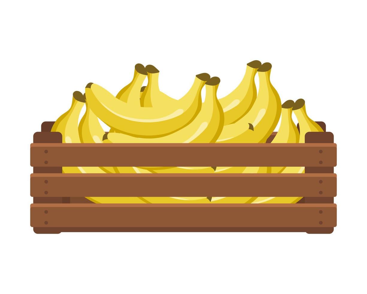 Wooden box with tropical bananas. Healthy food, fruits, agriculture illustration, vector