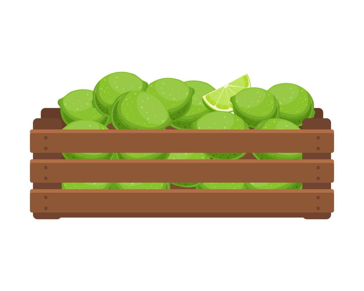 Wooden box with green limes. Healthy food, fruits, agriculture illustration, vector