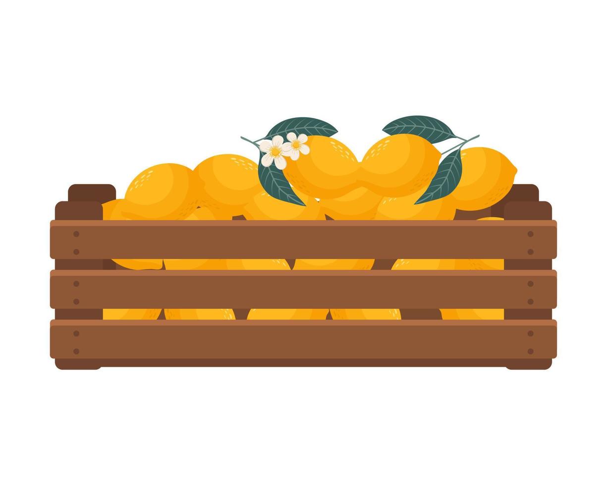 de madera caja con limones sano alimento, frutas, agricultura ilustración, vector