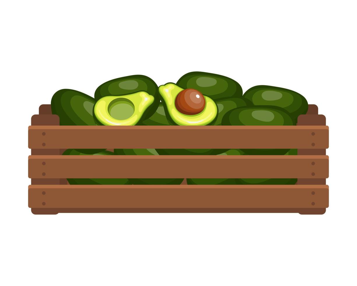 Wooden box with tropical avocados. Healthy food, fruits, agriculture illustration, vector