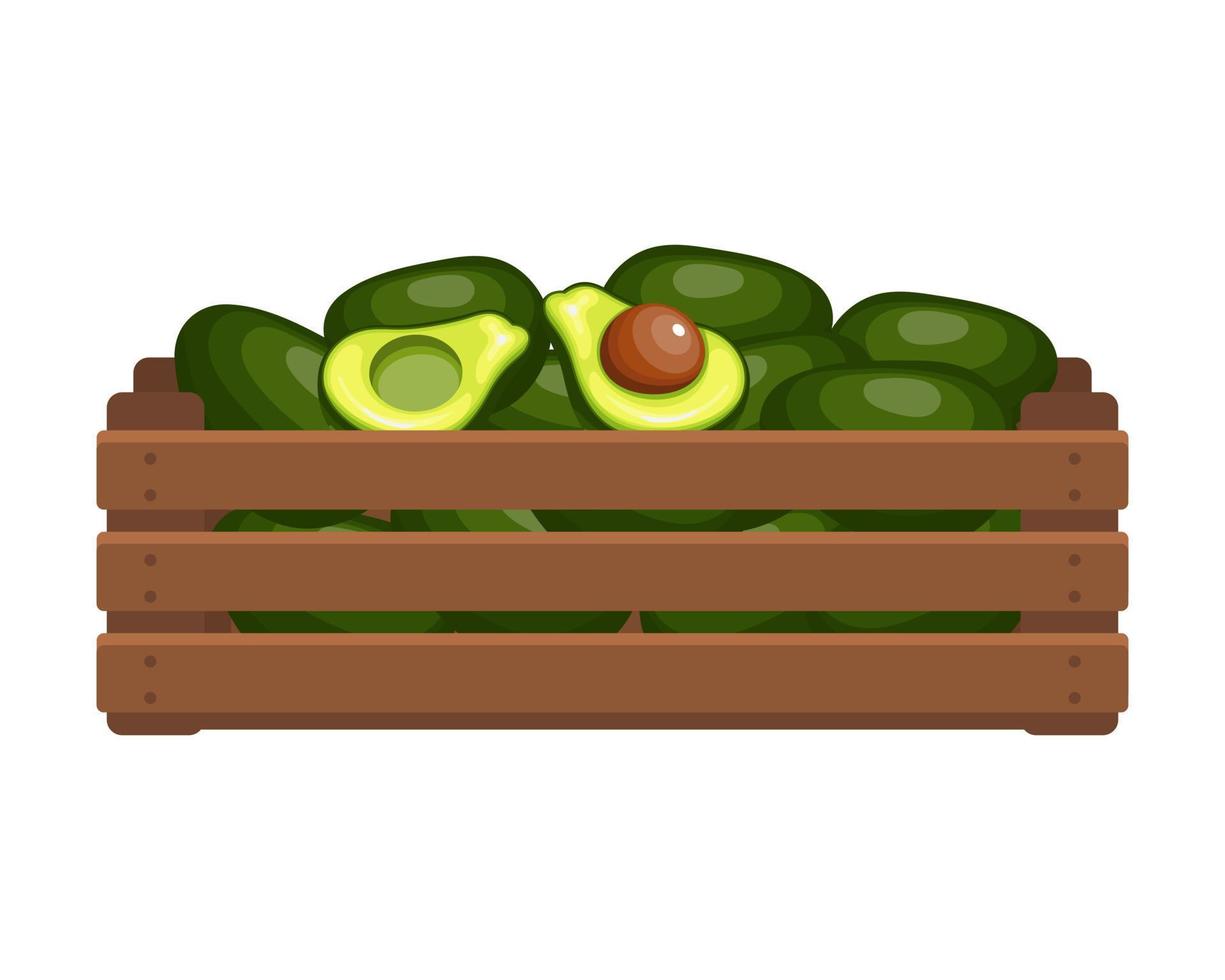 de madera caja con tropical aguacates. sano alimento, frutas, agricultura ilustración, vector