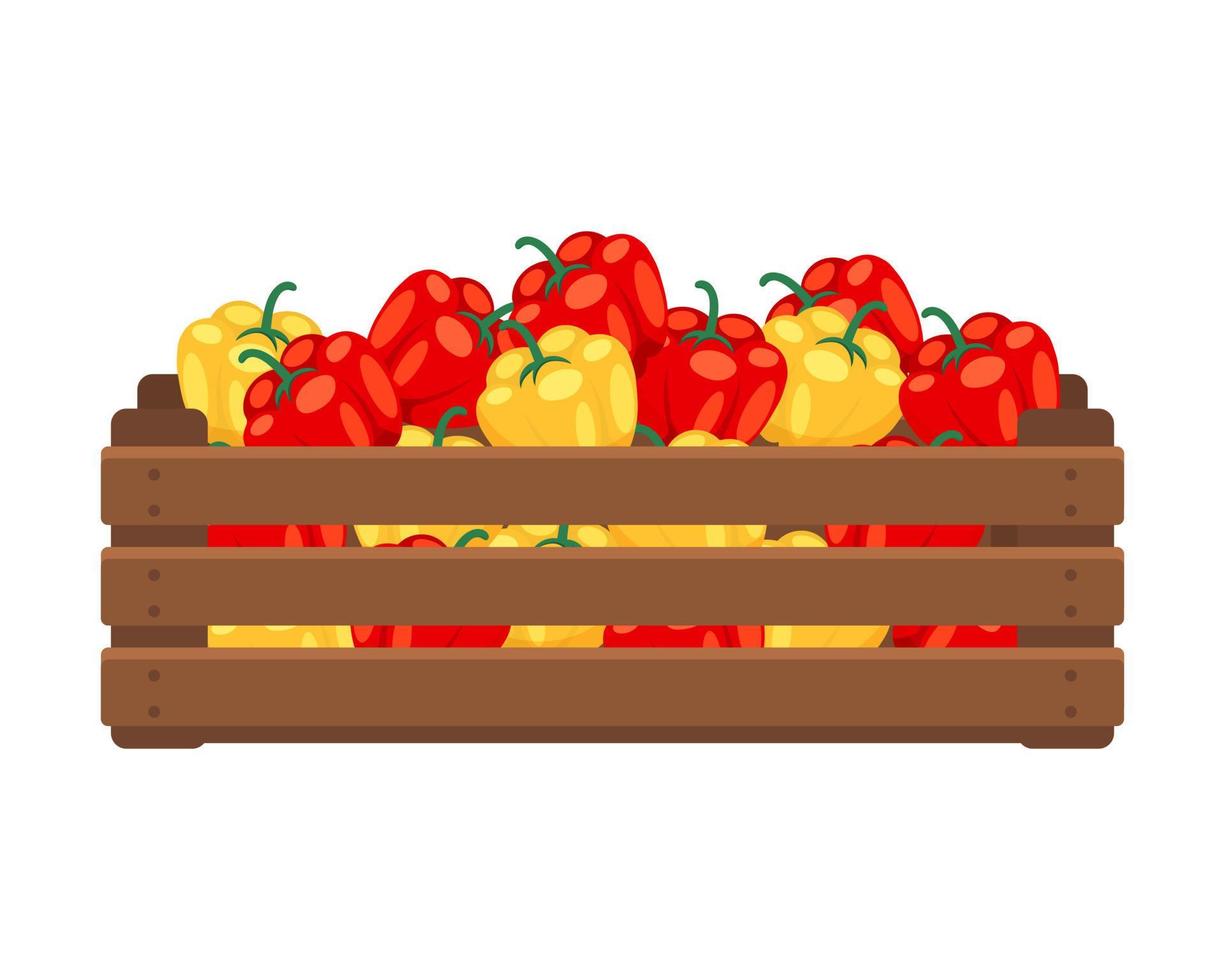 Wooden box with red and yellow peppers. Food, vegetables, agriculture illustration, vector