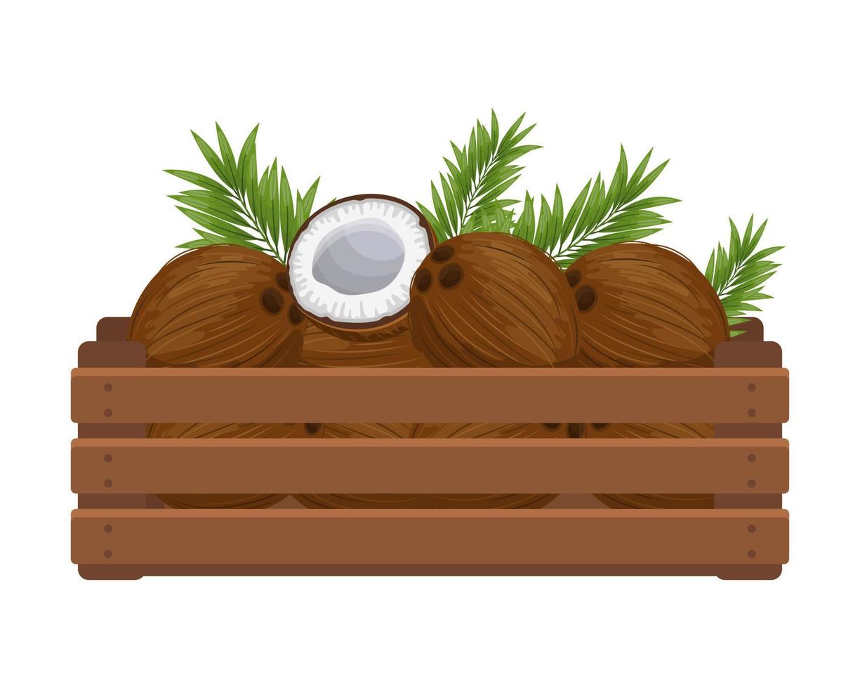 Wooden box with tropical coconuts. Healthy food, fruits, agriculture illustration, vector