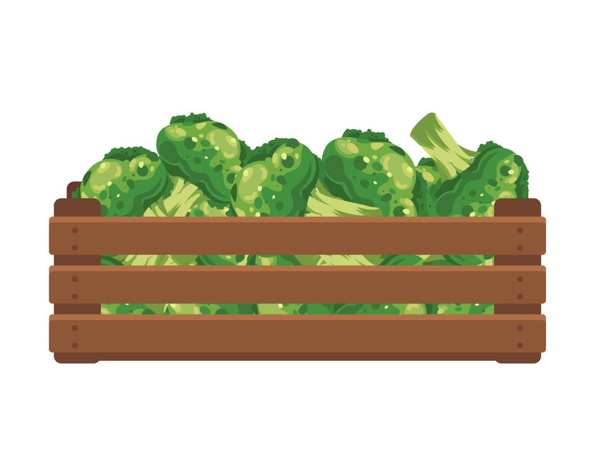 Wooden box with broccoli. Healthy food, vegetables, agriculture illustration, vector