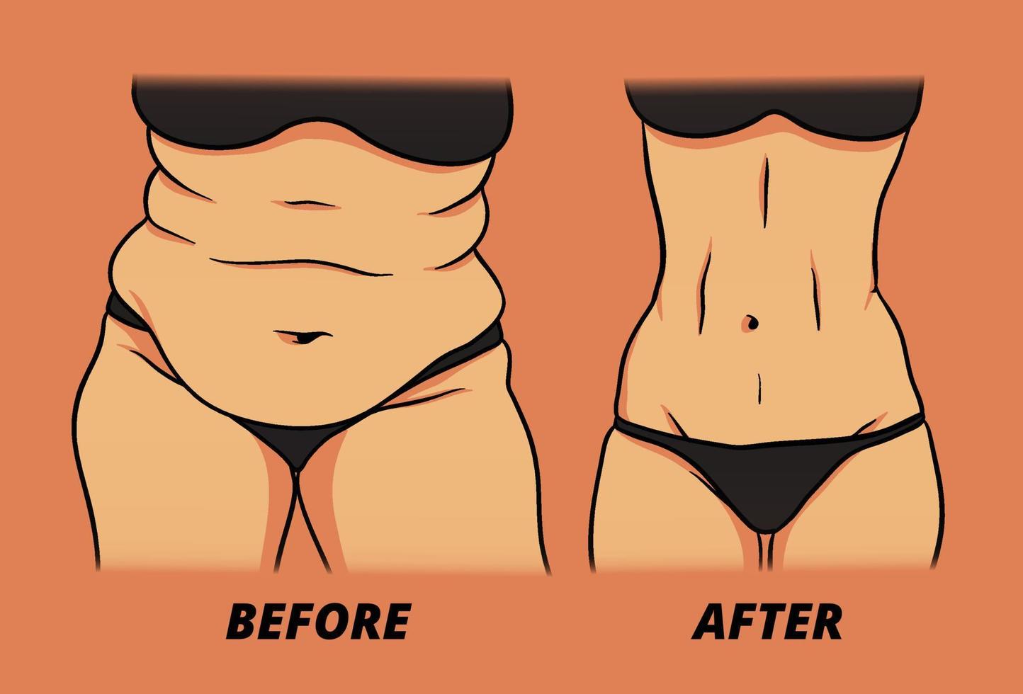 illustration of comparison between fat and ideal belly, weight loss vector