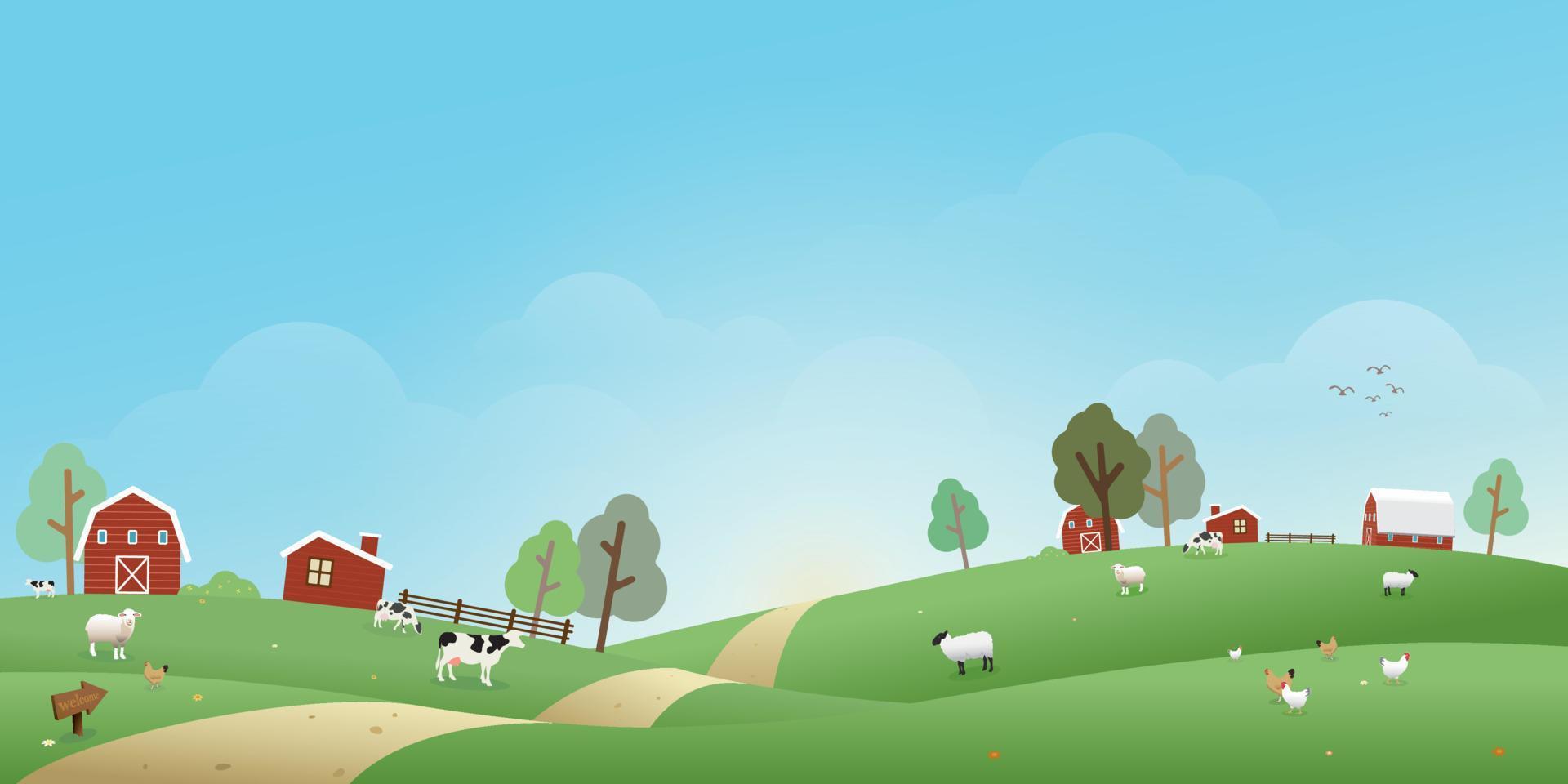 Rural landscape in the morning vector illustration with blank space. Livestock flat design for eco or daily products advertisement.