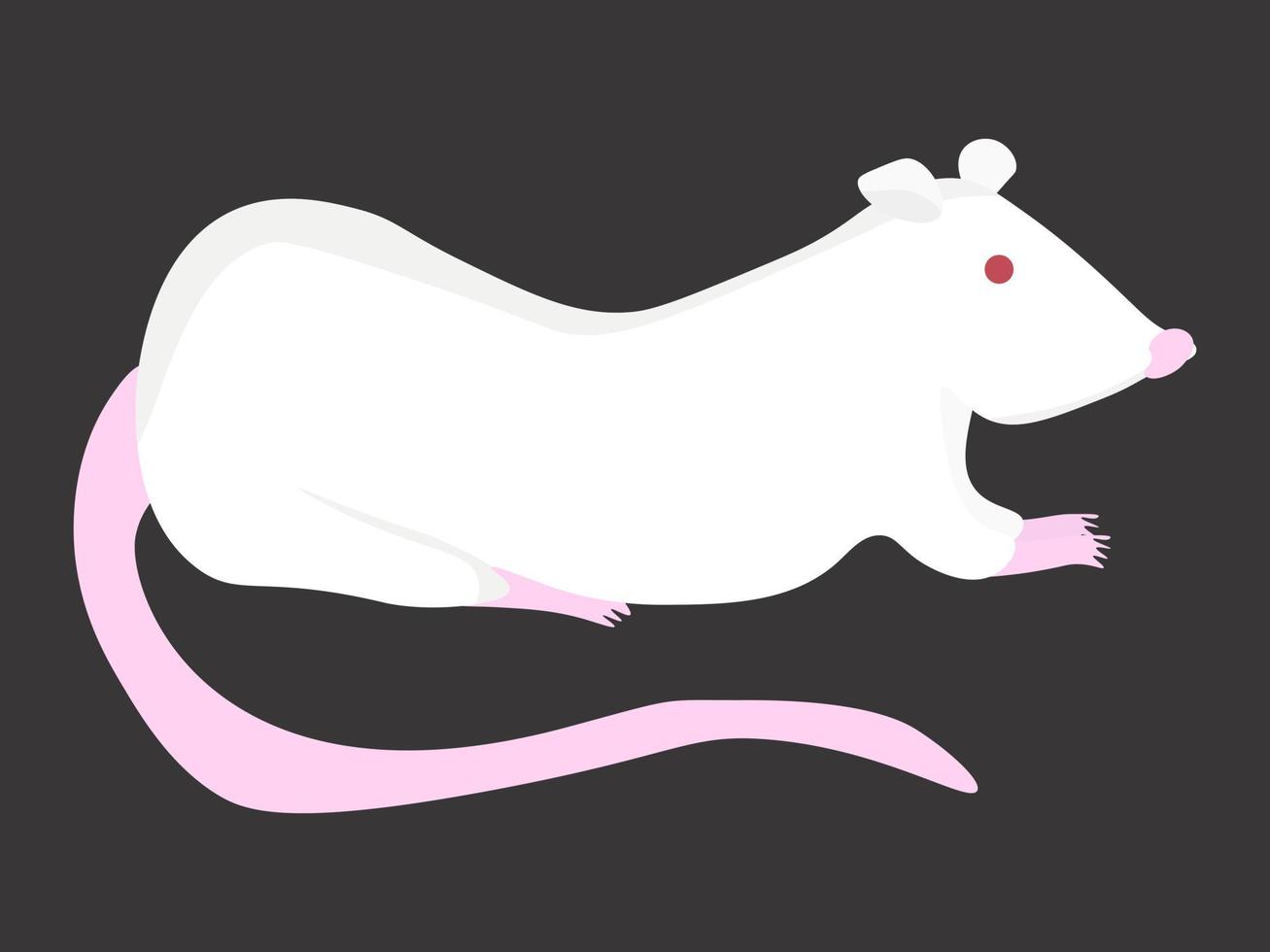 White lab rat, cute pet rodent vector