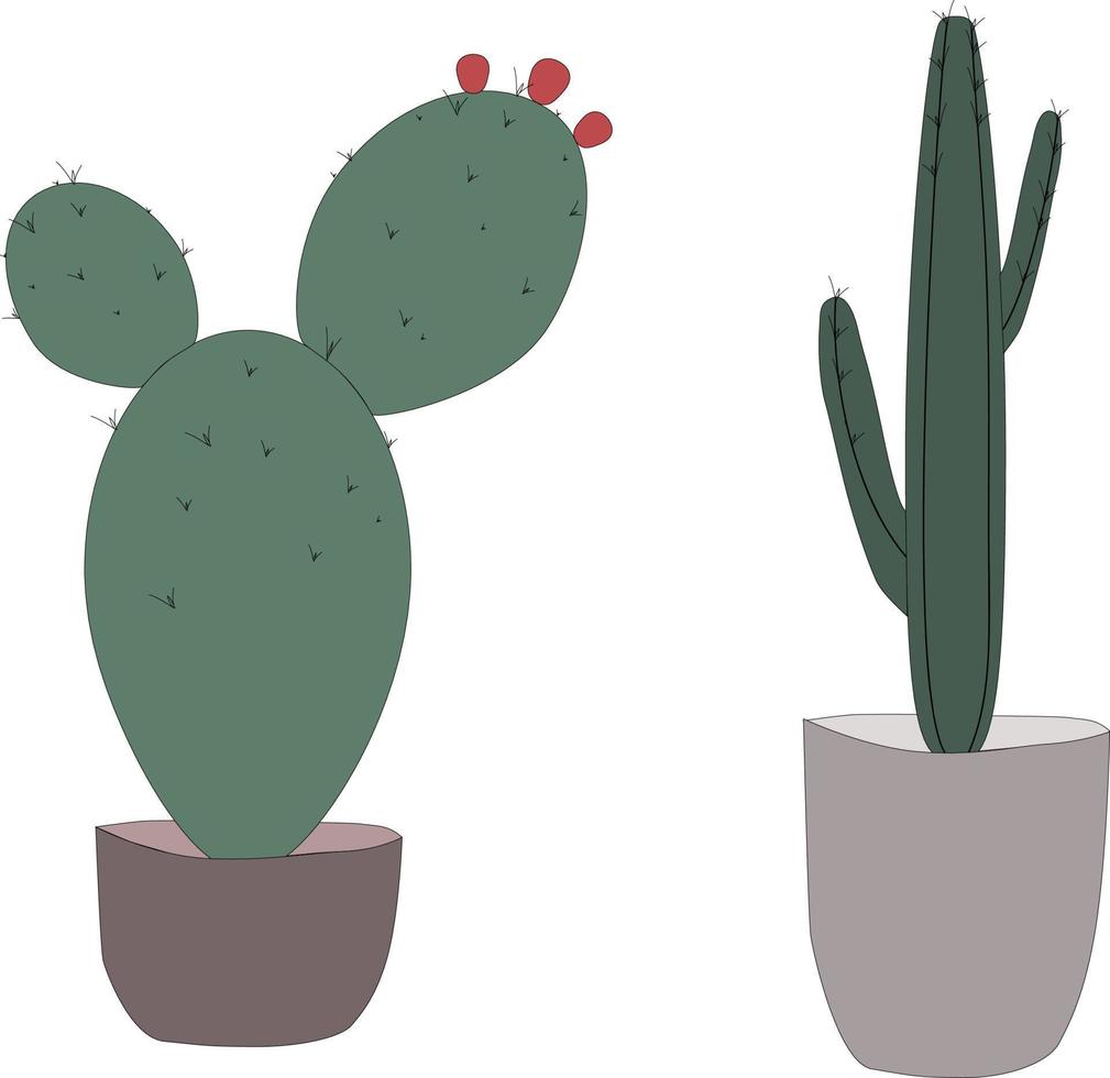 potted cactus freehand drawing illustration vector