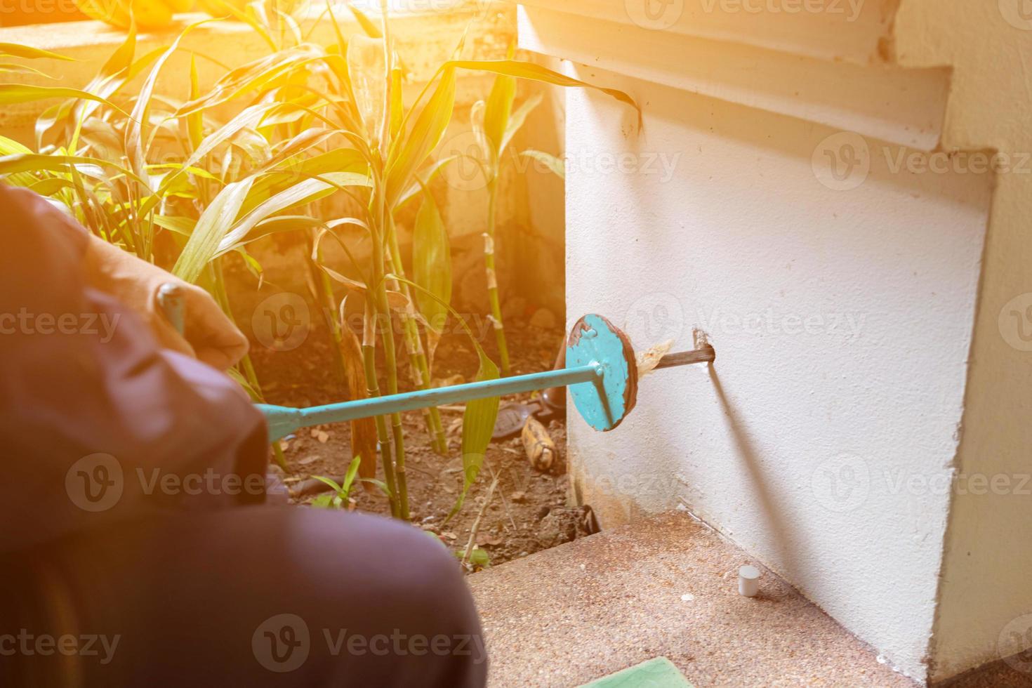 exterminate termite control company employee is using a termite sprayer at customer's house and searching for termite nests to eliminate. exterminate control worker spraying chemical insect repellant photo