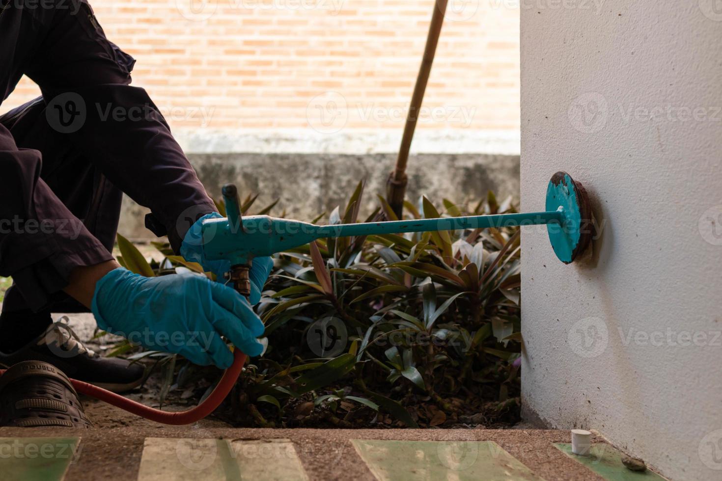 exterminate termite control company employee is using a termite sprayer at customer's house and searching for termite nests to eliminate. exterminate control worker spraying chemical insect repellant photo