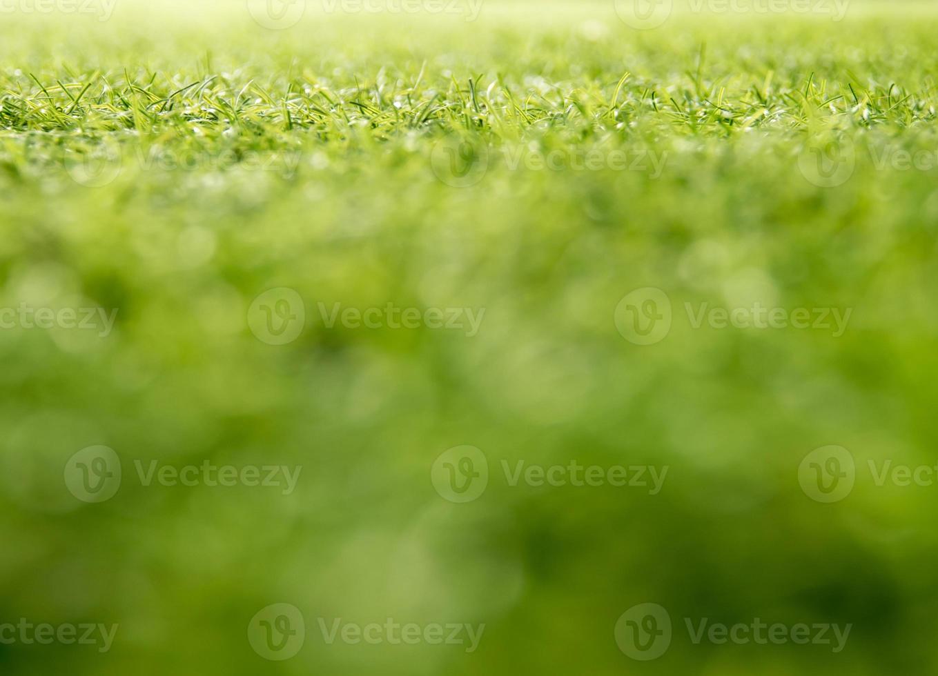 Texture of plastic artificial grass of school yard by shallow depth of field photo
