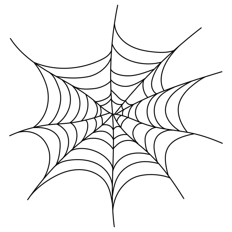 Scary spider web isolated. Spooky Halloween decoration. Outline cobweb illustration vector