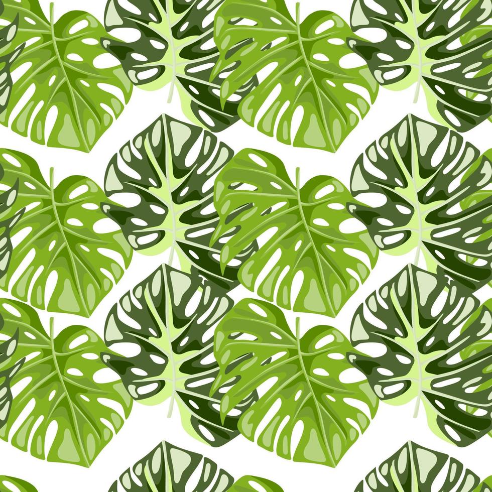 monstera hojas sin costura modelo. exótico selva plantas interminable fondo de pantalla. hoja antecedentes. hawaiano selva floral fondo. vector