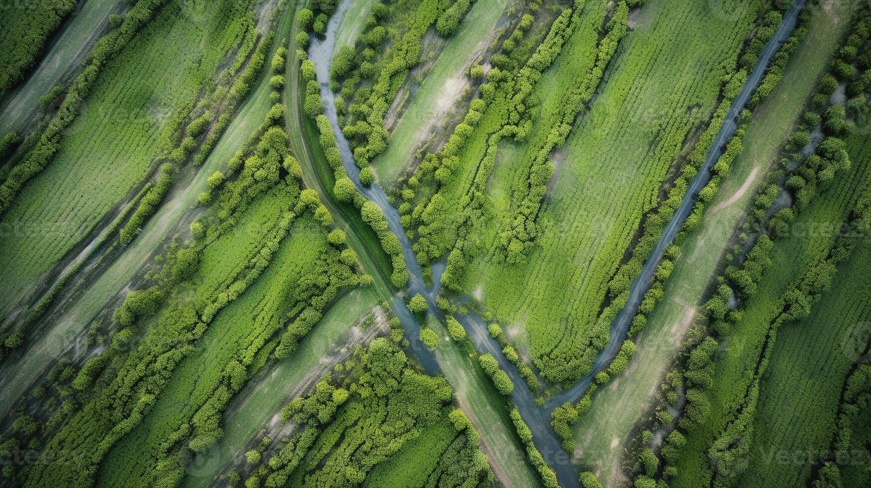 generativo ai, campo de verde césped con agua rociado, aéreo ver zumbido fotografía. pantano paisaje. foto