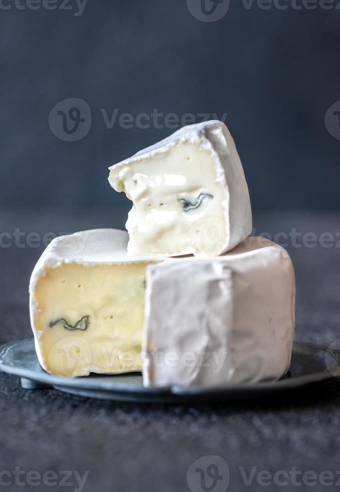 suave queso con blanco y azul molde foto