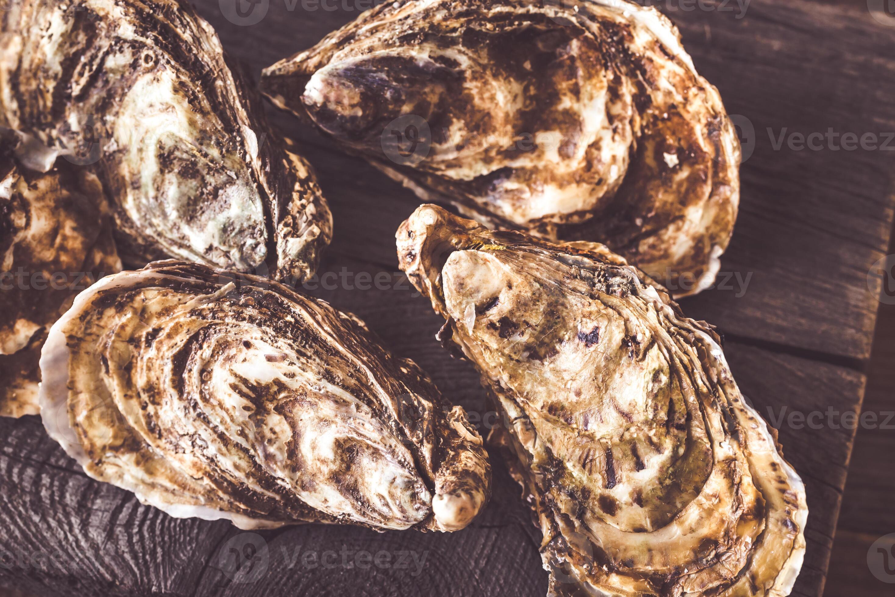 Raw oysters on the board 23160068 Stock Photo at Vecteezy