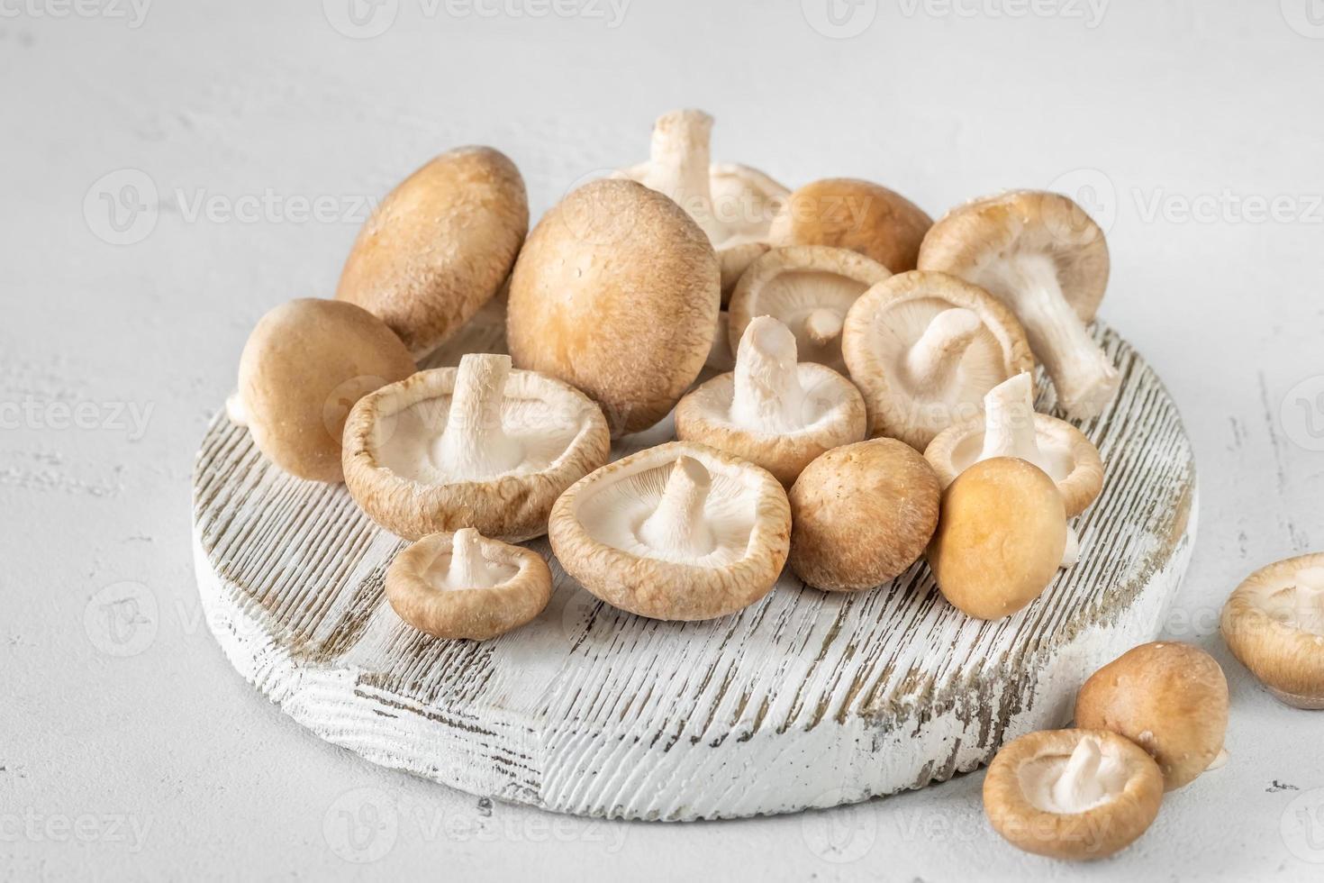 Shiitake mushrooms closeup photo