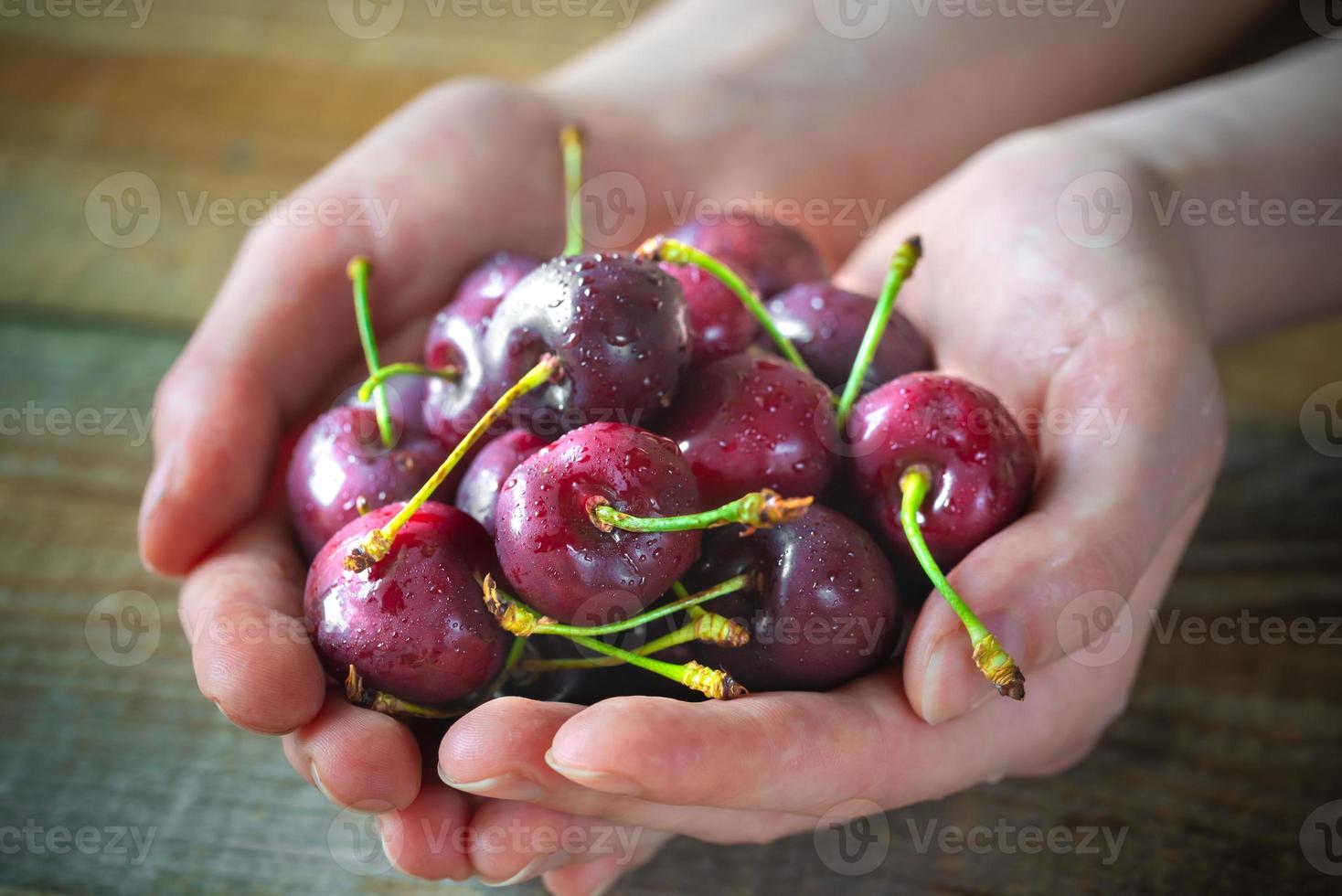 Hands holding cherries photo
