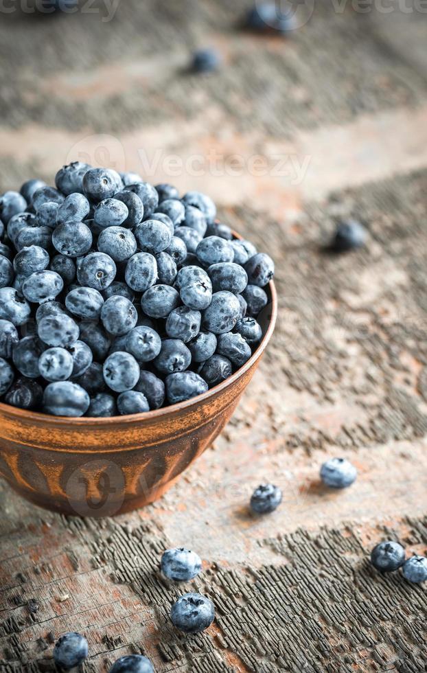 Bowl of fresh blueberries photo