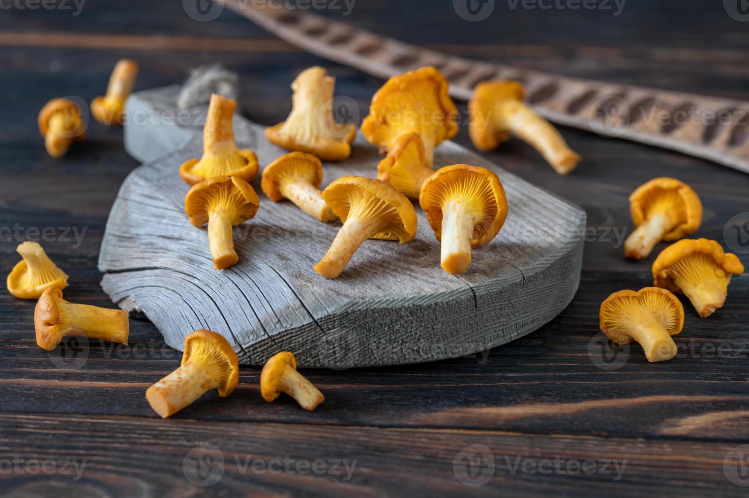 Fresh chanterelles closeup photo