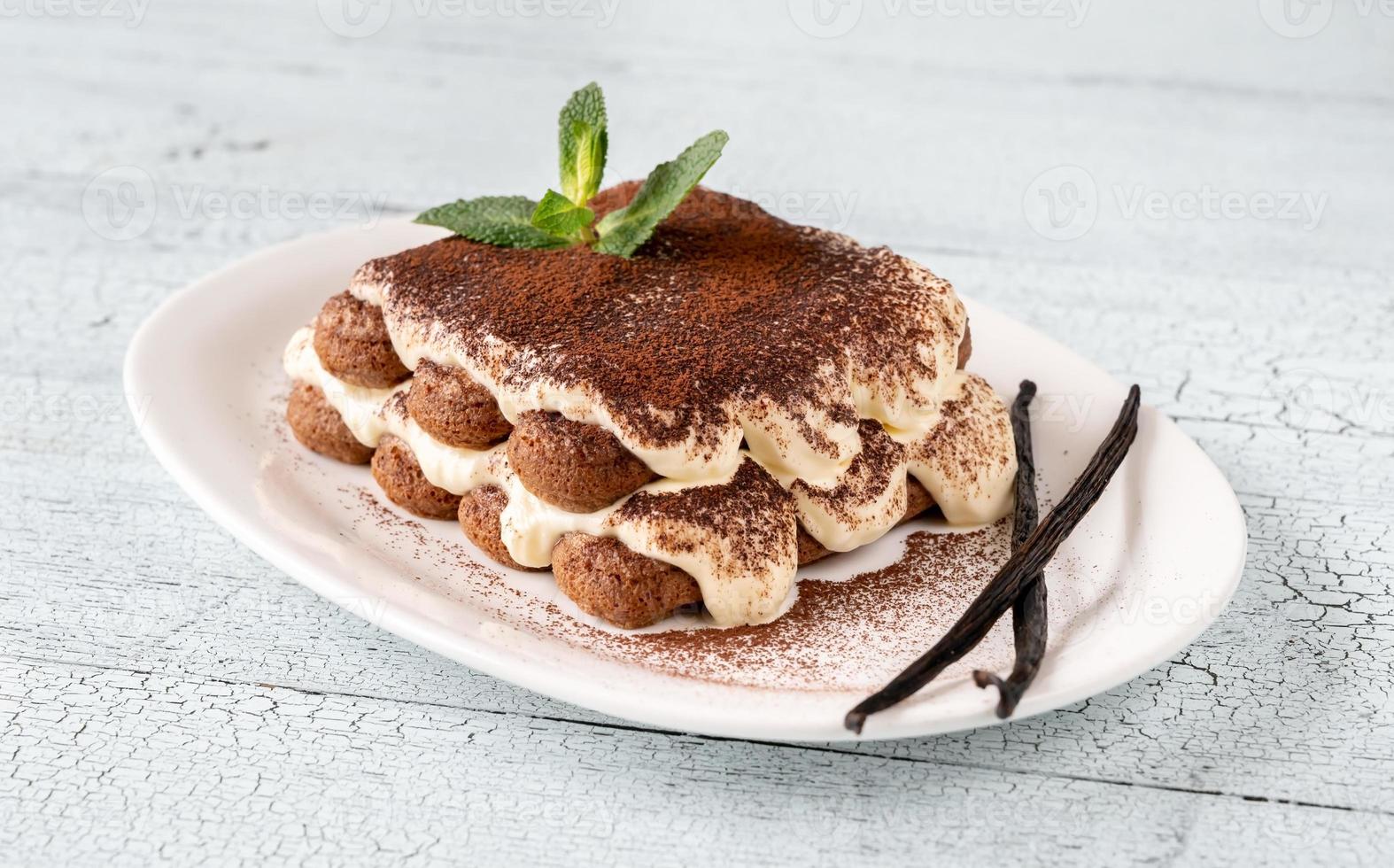 Portion of tiramisu photo