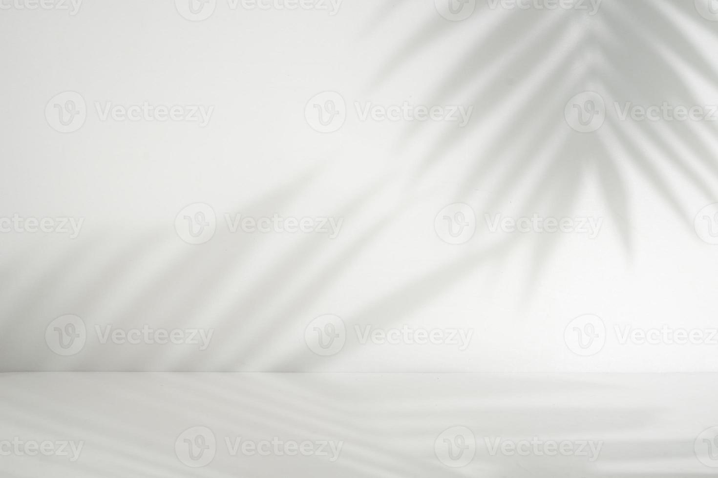 Palm leaf shadow overlay. Minimalist shadow overlay for product placement. Aesthetic perspective product display photo