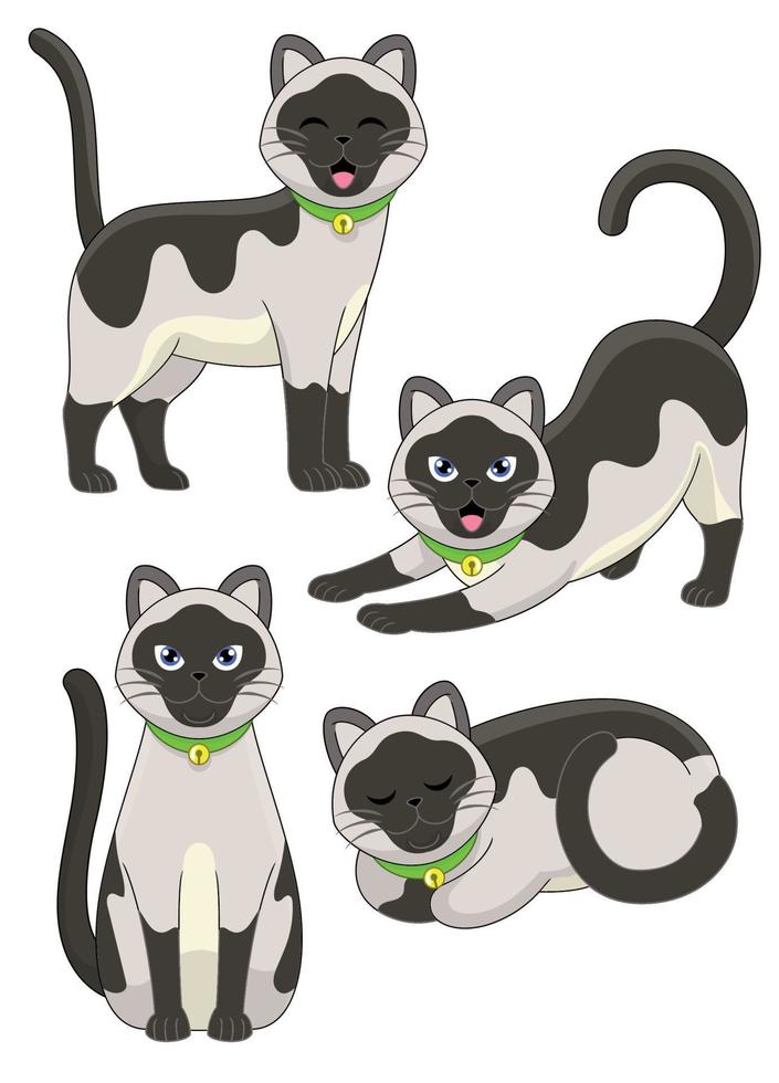 set of cute siamese cat vector