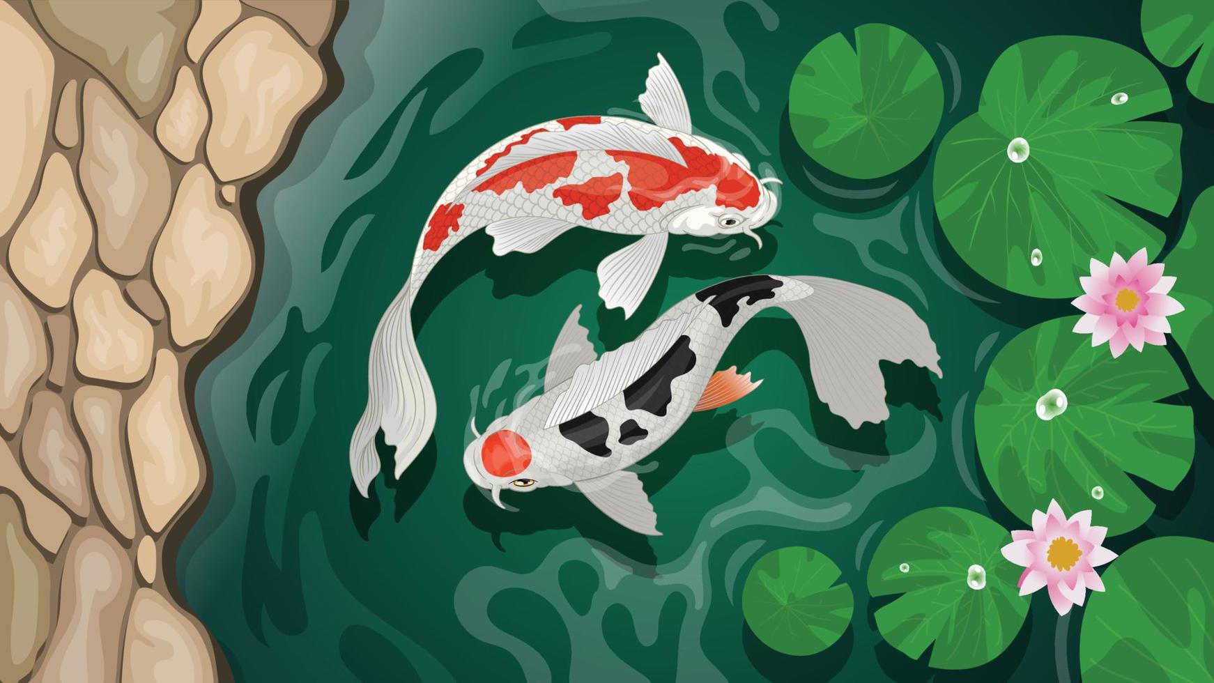 couple koi fish swimming in the pond vector