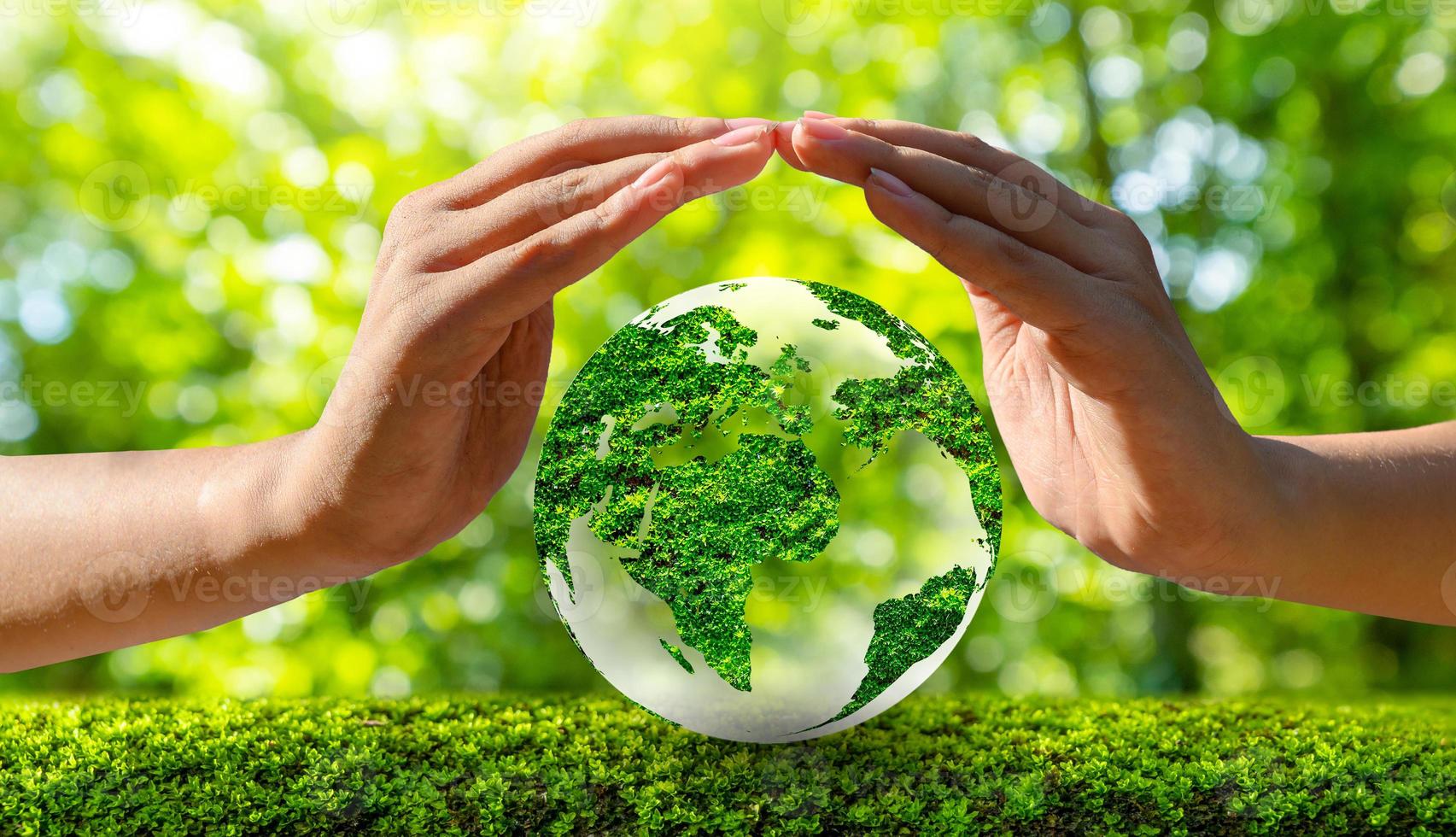 medio ambiente día de la tierra en manos de árboles que cultivan plántulas. Bokeh de fondo verde mano femenina sosteniendo el árbol en el campo de la naturaleza concepto de conservación de bosques de hierba foto