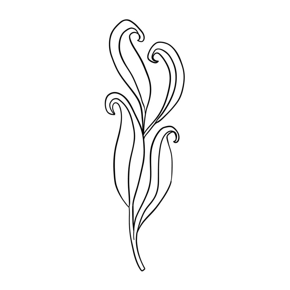 Digital illustration of a cute black outline doodle spring theme frame twig with leaves in scandinavian style. Print for clothes, poster, banner, postcard, web design, coloring. vector