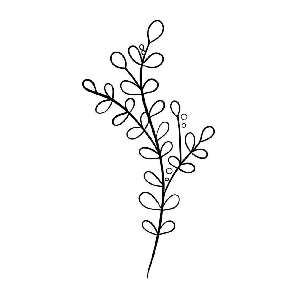 Digital illustration of a cute black outline doodle spring theme frame twig with leaves in scandinavian style. Print for clothes, poster, banner, postcard, web design, coloring. vector