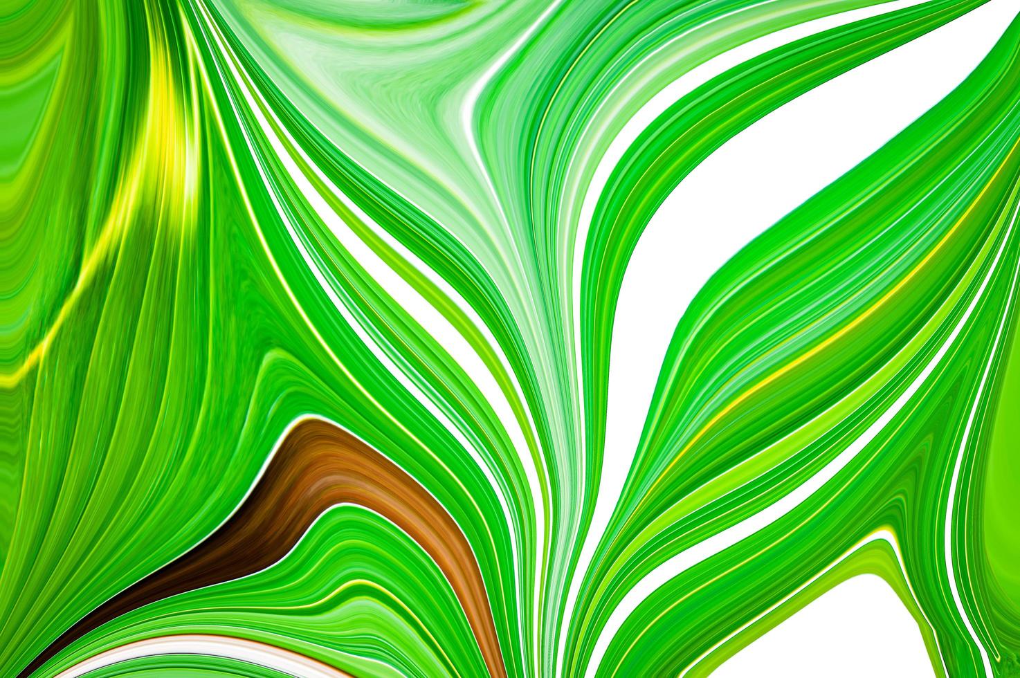 abstract curl wave lines multicolored green white brown yellow  modern background design template  modern fashion photo