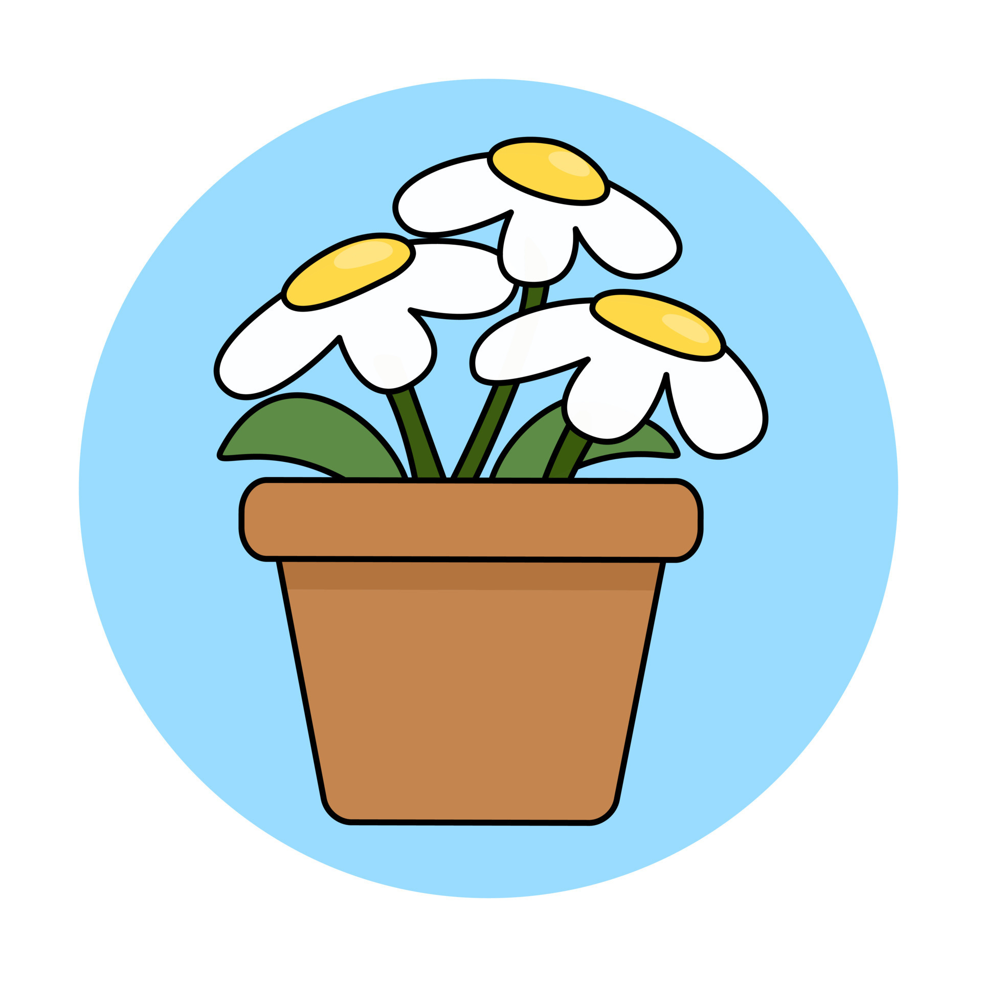 Cute cartoon daisies in a pot in color doodle style 23161546 Vector Art at Vecteezy