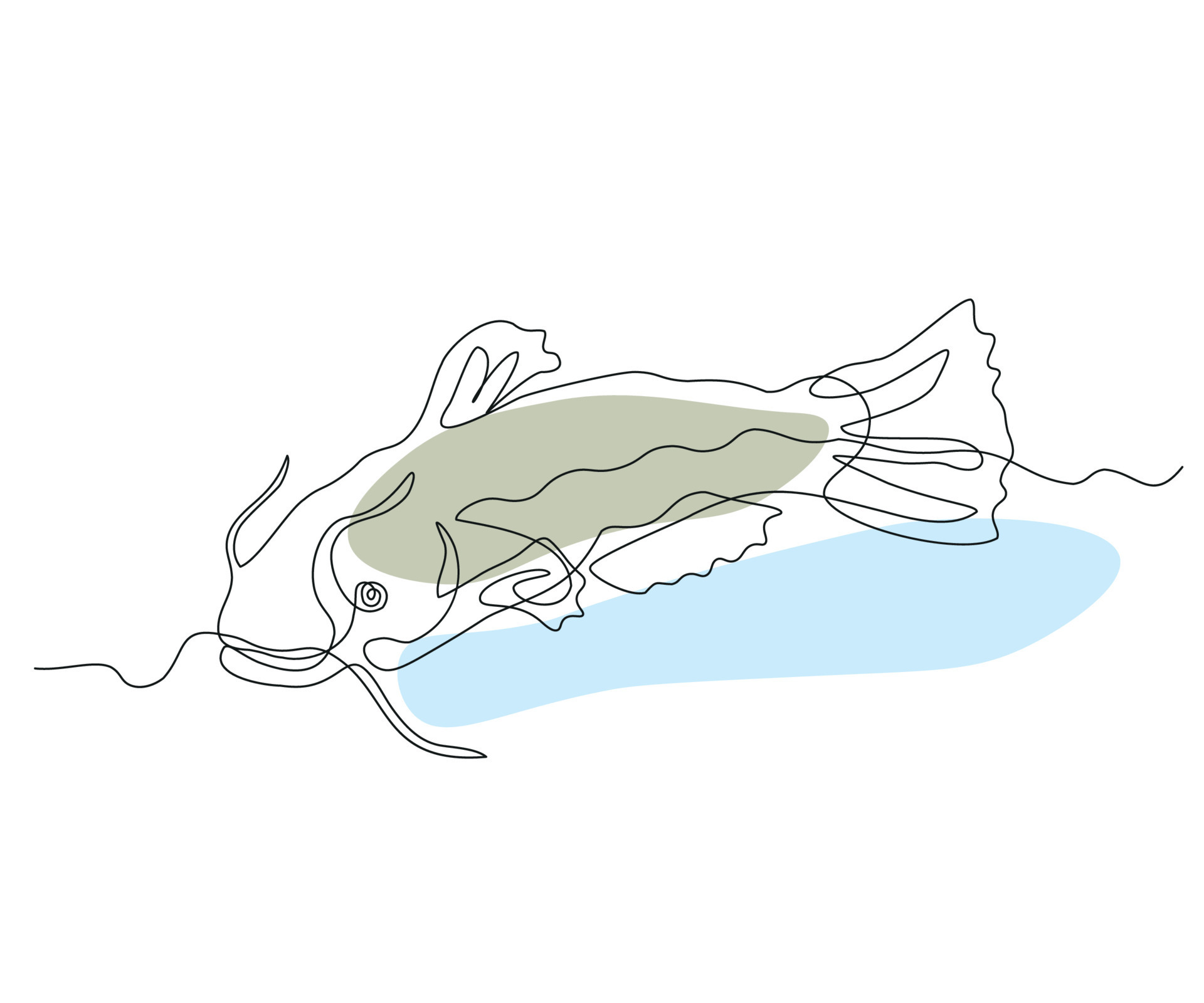 How To Draw A Catfish Step By Step