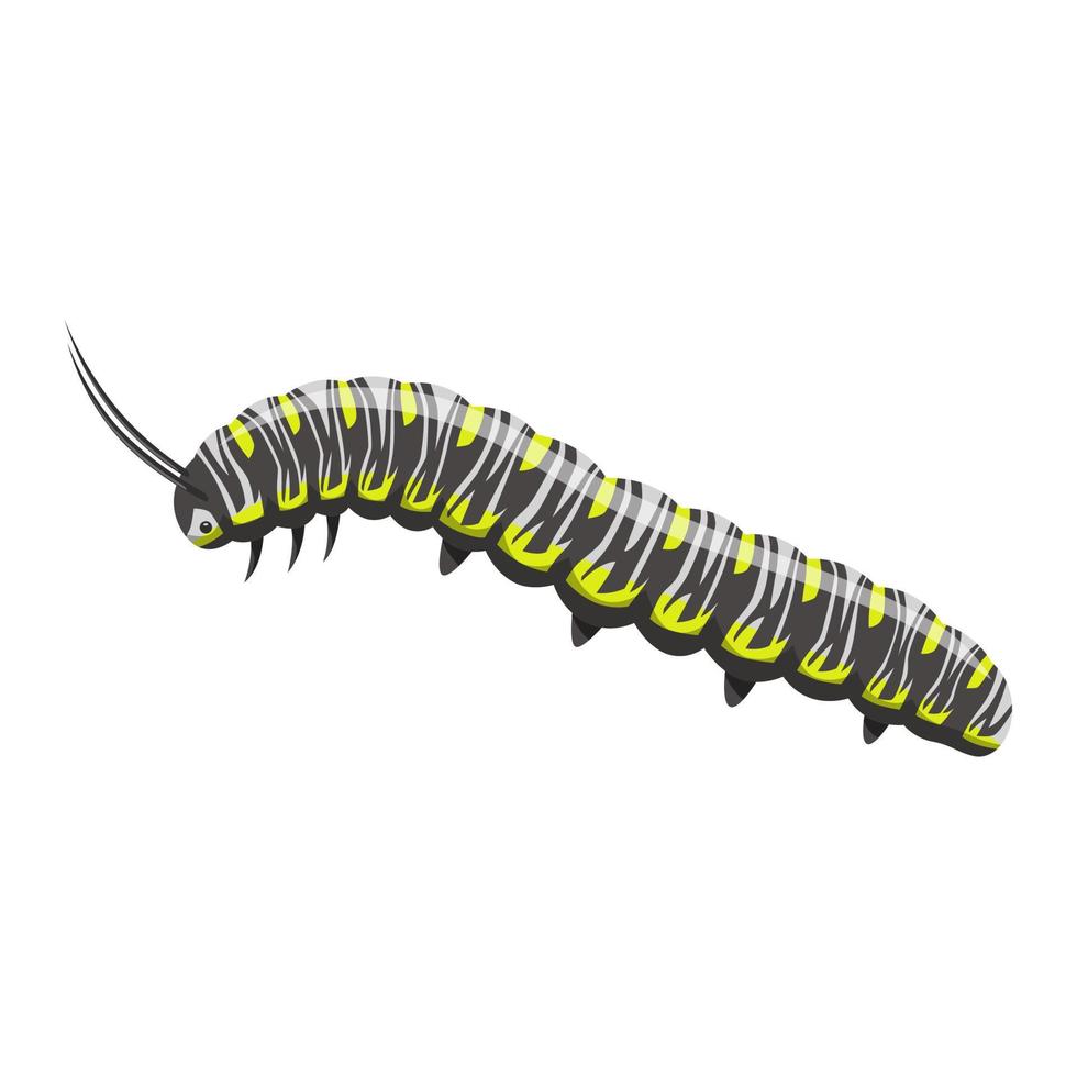 Beautiful Caterpillar illustration. Pretty caterpillar isolated on white background. For festive card, banner, pattern, tattoo, decorative. Animal vector