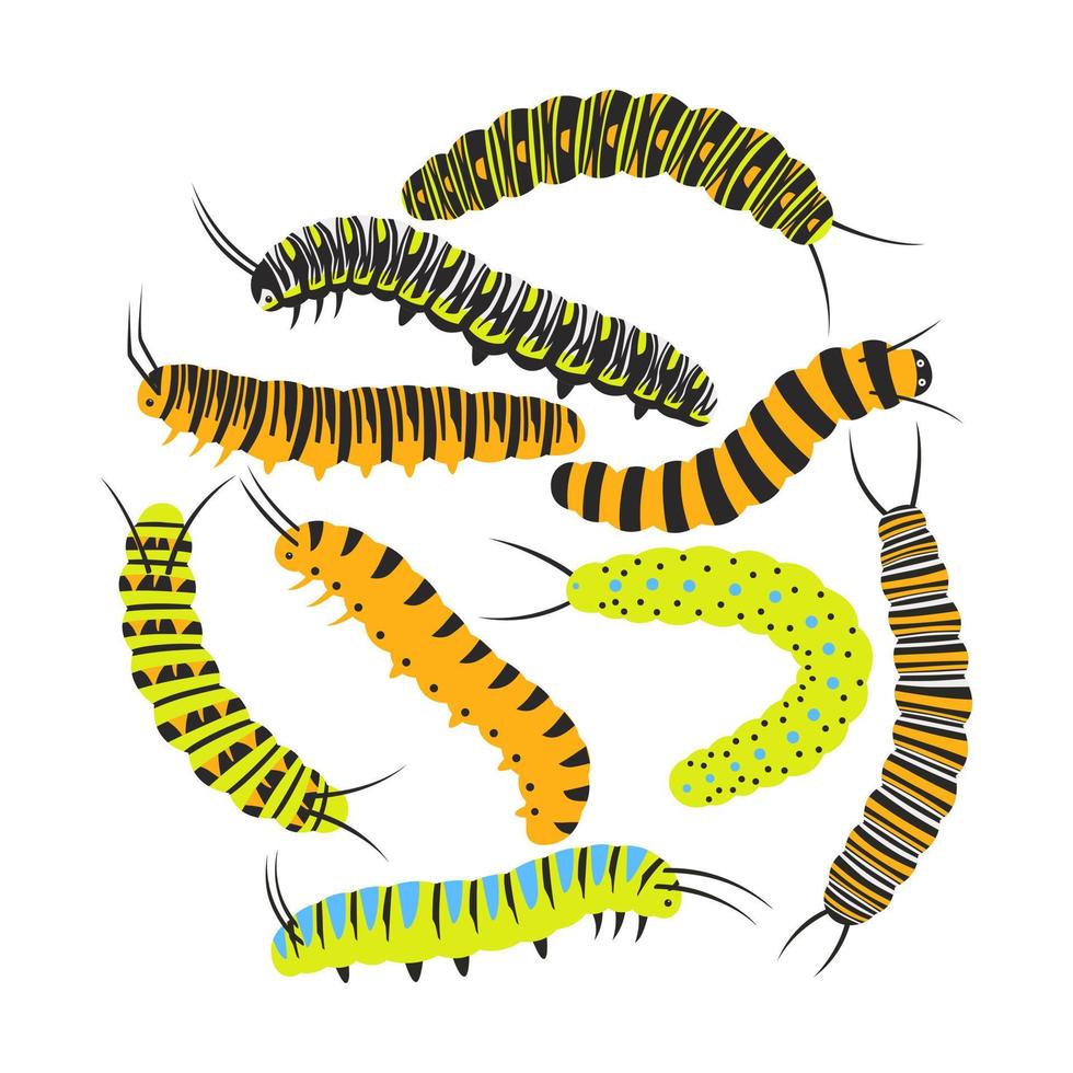 Set of colorful caterpillars. Pretty caterpillars different silhouette on white background. For festive card, banner, children, pattern, tattoo, decorative, concept. Vector illustration