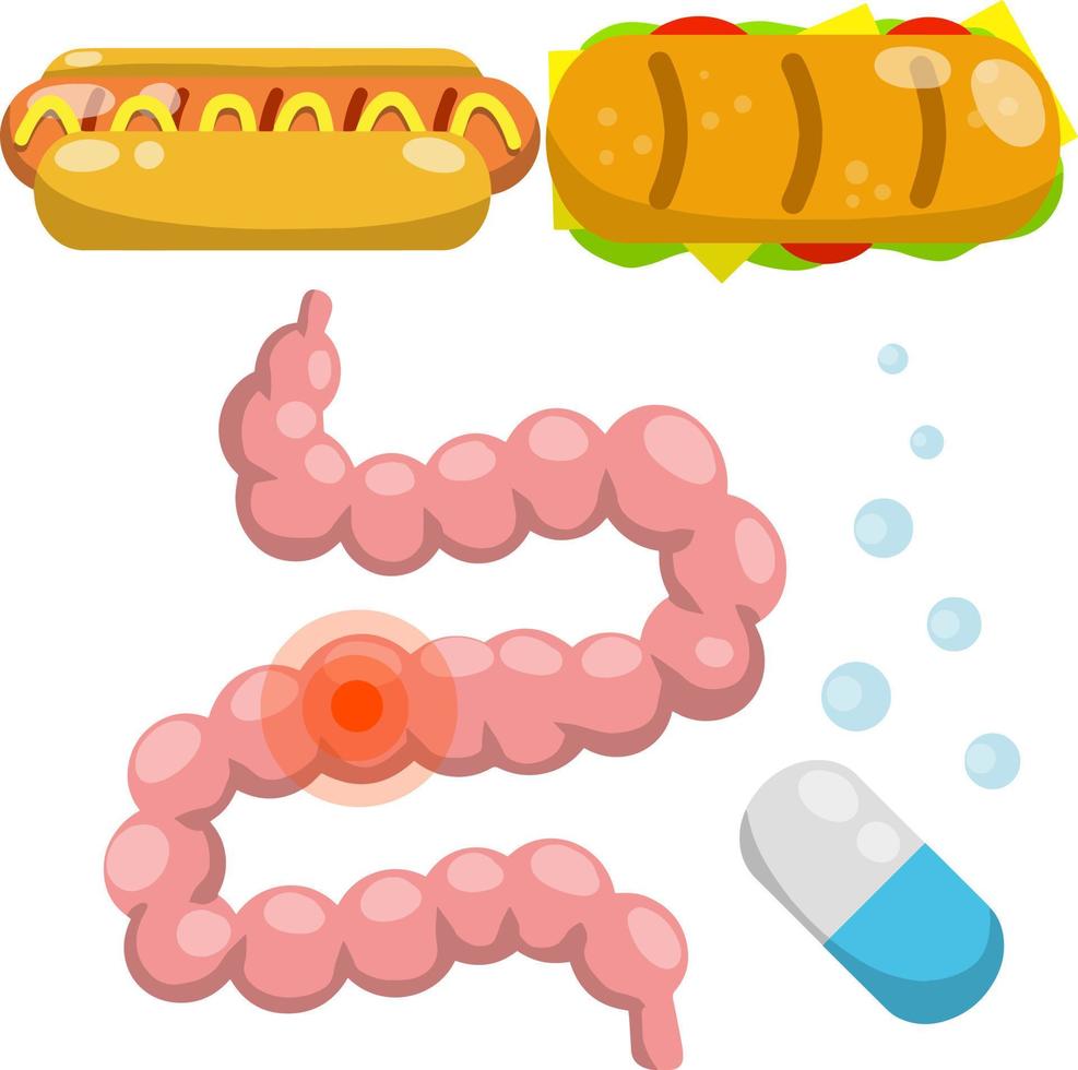 intestino. humano digestivo sistema. enfermo rojo lugar. médico píldora para indigestión. dibujos animados plano ilustración. conjunto de objetos de hospital. basura rápido alimento, caliente perro, tacos vector