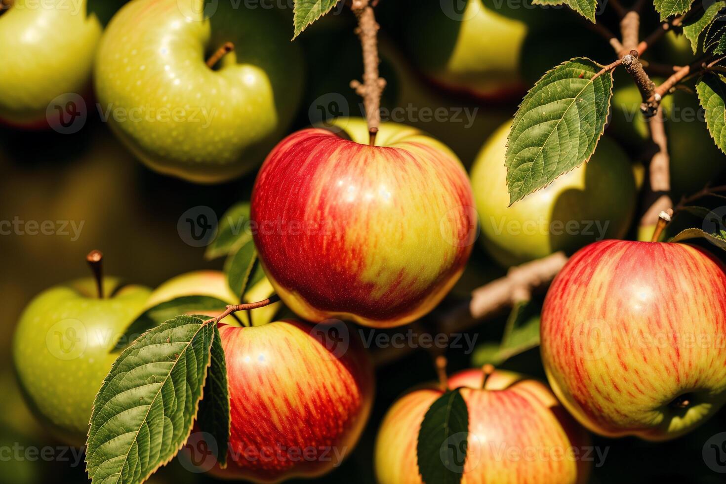 delicious Red apples on a wooden table and brown background. Healthy food concept. photo