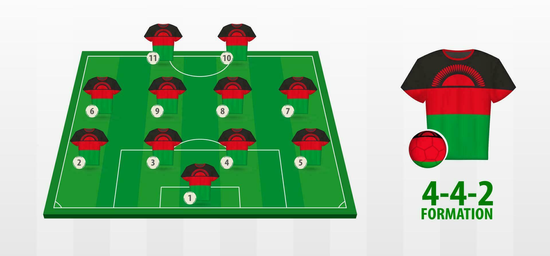 Malawi National Football Team Formation on Football Field. vector